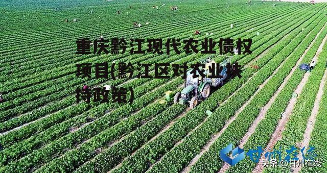 重庆黔江现代农业债权项目(黔江区对农业扶持政策)