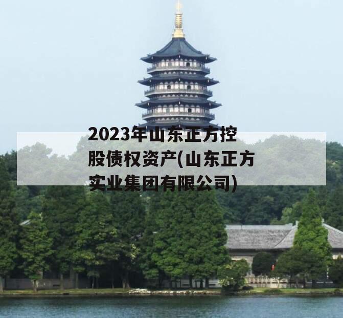 2023年山东正方控股债权资产(山东正方实业集团有限公司)