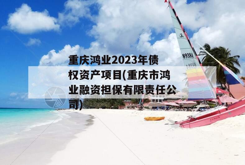 重庆鸿业2023年债权资产项目(重庆市鸿业融资担保有限责任公司)
