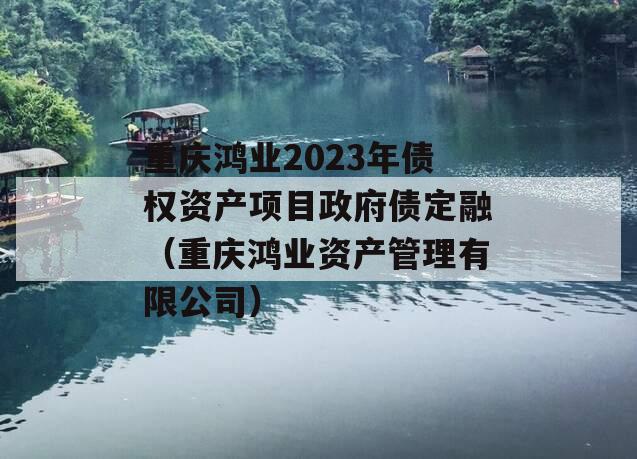重庆鸿业2023年债权资产项目政府债定融（重庆鸿业资产管理有限公司）