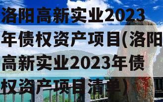 洛阳高新实业2023年债权资产项目(洛阳高新实业2023年债权资产项目清单)