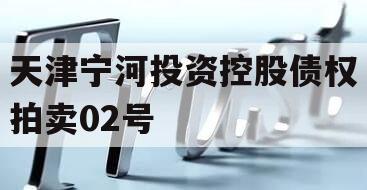 天津宁河投资控股债权拍卖02号