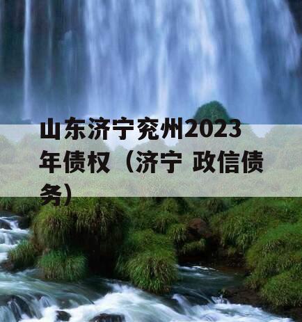 山东济宁兖州2023年债权（济宁 政信债务）