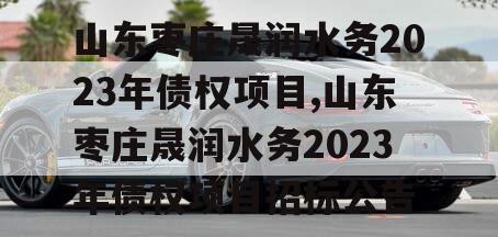 山东枣庄晟润水务2023年债权项目,山东枣庄晟润水务2023年债权项目招标公告