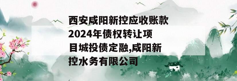 西安咸阳新控应收账款2024年债权转让项目城投债定融,咸阳新控水务有限公司