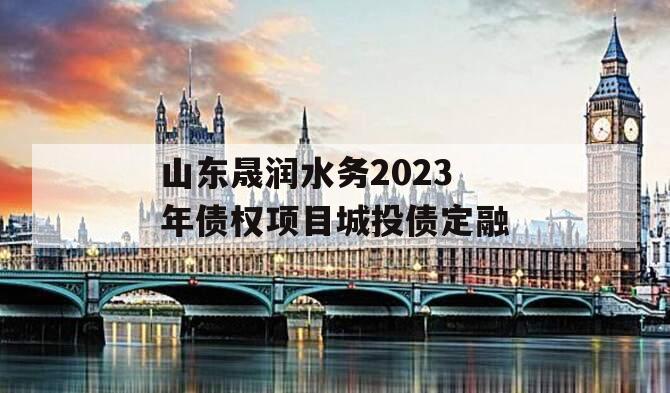 山东晟润水务2023年债权项目城投债定融