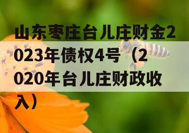 山东枣庄台儿庄财金2023年债权4号（2020年台儿庄财政收入）