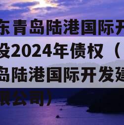 山东青岛陆港国际开发建设2024年债权（青岛陆港国际开发建设有限公司）