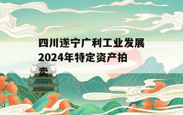 四川遂宁广利工业发展2024年特定资产拍卖