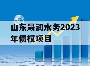 山东晟润水务2023年债权项目