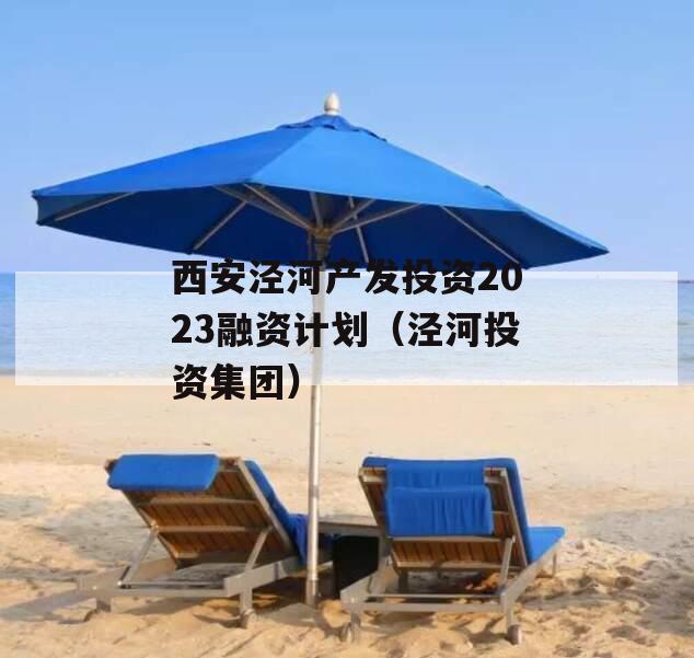 西安泾河产发投资2023融资计划（泾河投资集团）