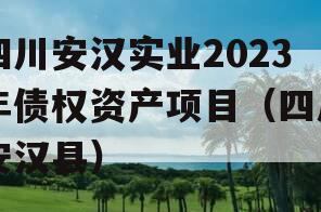 四川安汉实业2023年债权资产项目（四川安汉县）