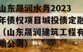 山东晟润水务2023年债权项目城投债定融（山东晟润建筑工程有限公司）
