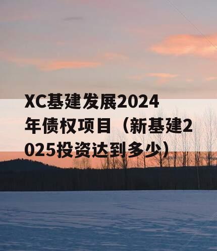 XC基建发展2024年债权项目（新基建2025投资达到多少）