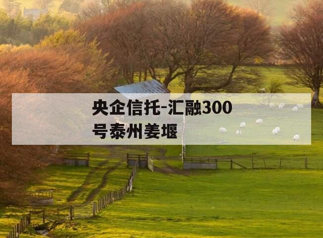 央企信托-汇融300号泰州姜堰