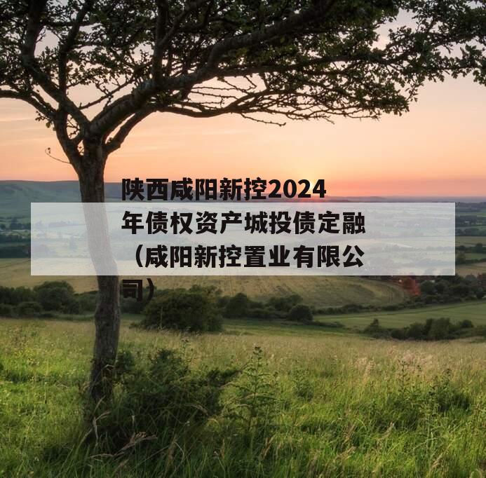 陕西咸阳新控2024年债权资产城投债定融（咸阳新控置业有限公司）