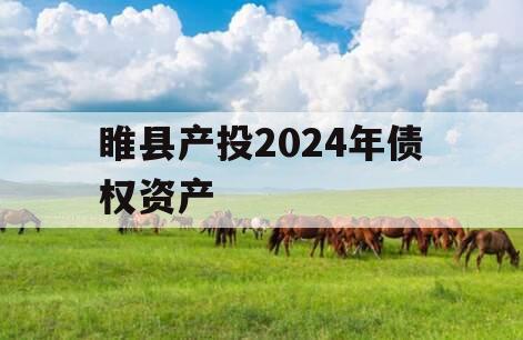 睢县产投2024年债权资产