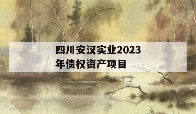 四川安汉实业2023年债权资产项目