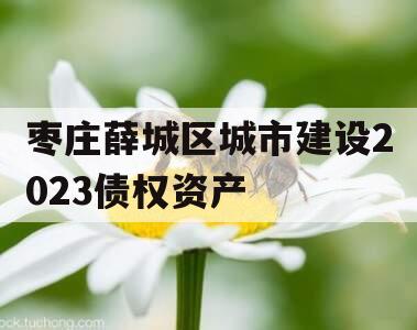 枣庄薛城区城市建设2023债权资产