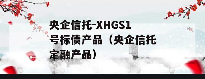 央企信托-XHGS1号标债产品（央企信托定融产品）