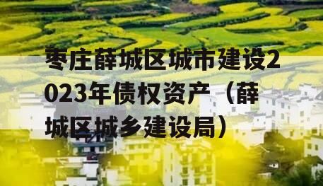 枣庄薛城区城市建设2023年债权资产（薛城区城乡建设局）