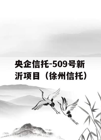 央企信托-509号新沂项目（徐州信托）