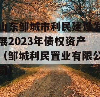 山东邹城市利民建设发展2023年债权资产（邹城利民置业有限公司）