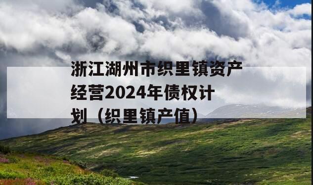 浙江湖州市织里镇资产经营2024年债权计划（织里镇产值）