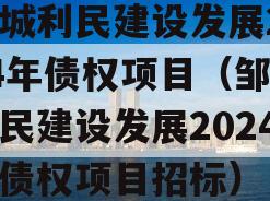 邹城利民建设发展2024年债权项目（邹城利民建设发展2024年债权项目招标）