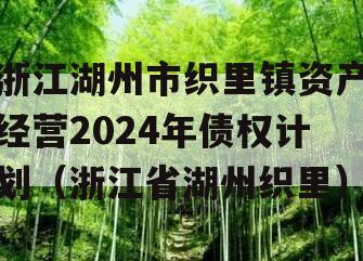 浙江湖州市织里镇资产经营2024年债权计划（浙江省湖州织里）