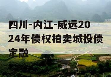 四川-内江-威远2024年债权拍卖城投债定融