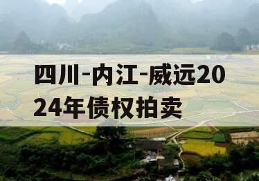 四川-内江-威远2024年债权拍卖