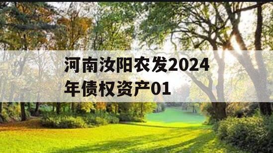 河南汝阳农发2024年债权资产01