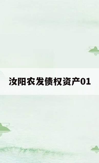 汝阳农发债权资产01