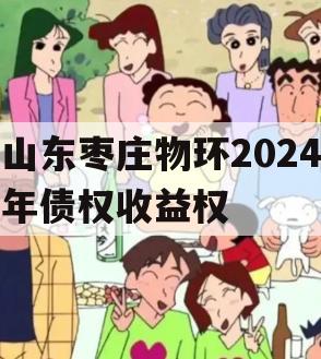 山东枣庄物环2024年债权收益权